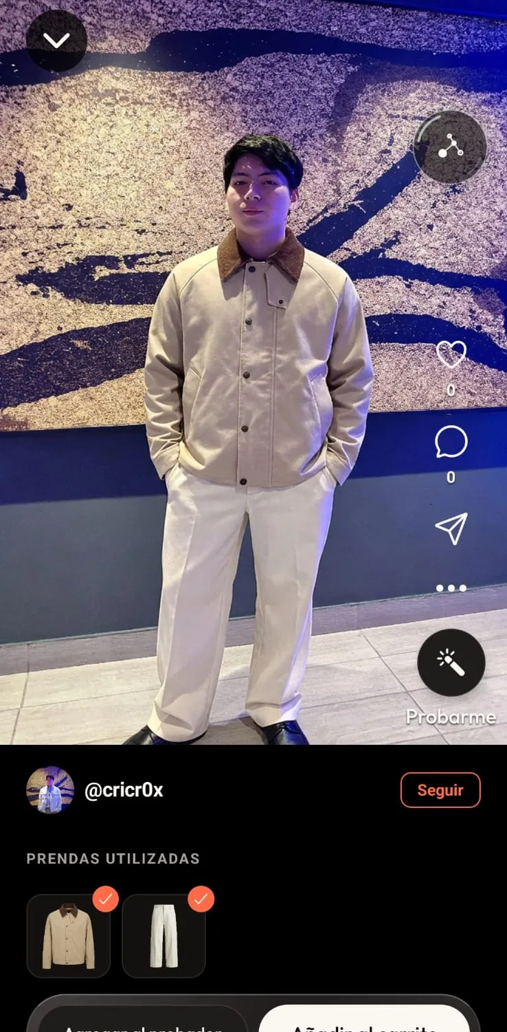 El feed de la app: una publicación con el look puesto y, debajo, las prendas que lo componen
